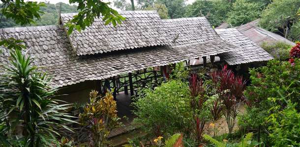 Doi Suthep Pui Doğal Yaşam Parkı
