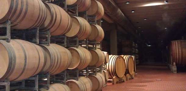 Şarap Tadım Turları