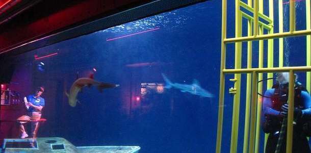 Florida Aquarium