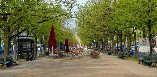 Unter den Linden Caddesi boyunca yürüyün