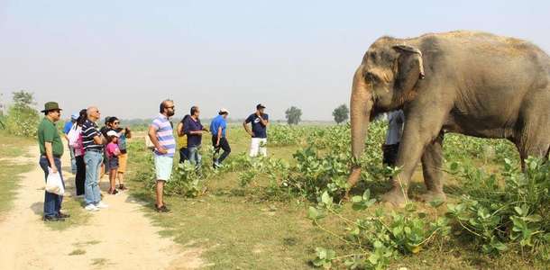 Wildlife SOS