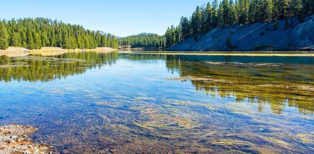 Yellowstone Milli Parkı’nda kamp yapın