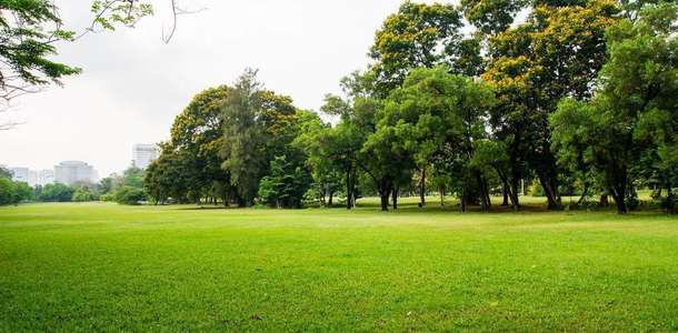 Park Mira