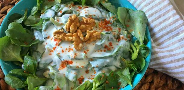 Yoğurtlu semizotu salatası