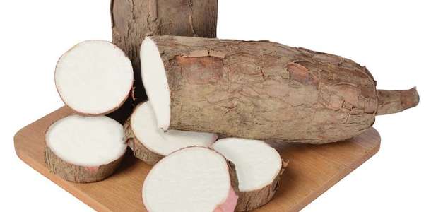 Yuca