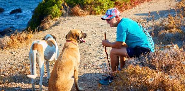 Torba’da trekking yapın