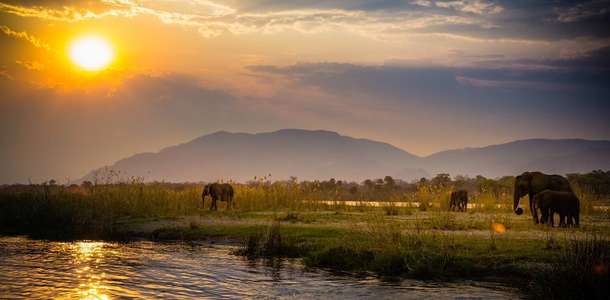 Zambezi Ulusal Parkı’nı gezin 
