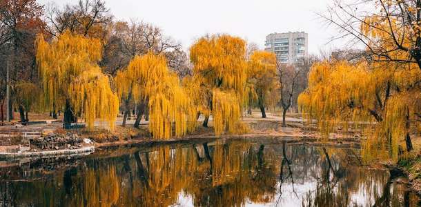 Voznesenovskiy Parkları