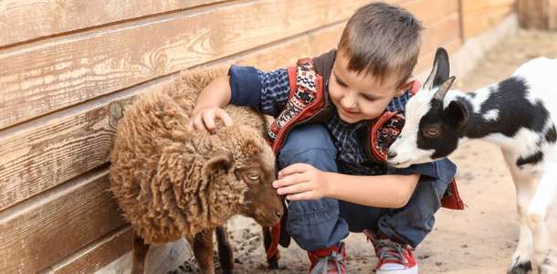 Zookutochok Hayvanat Bahçesi’ni gezin