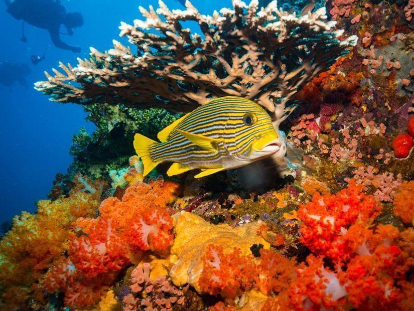 8-National Aquarium