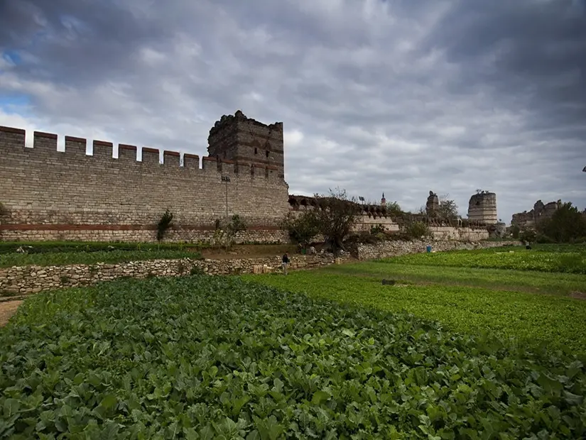 Yedikule bostanları görünümü